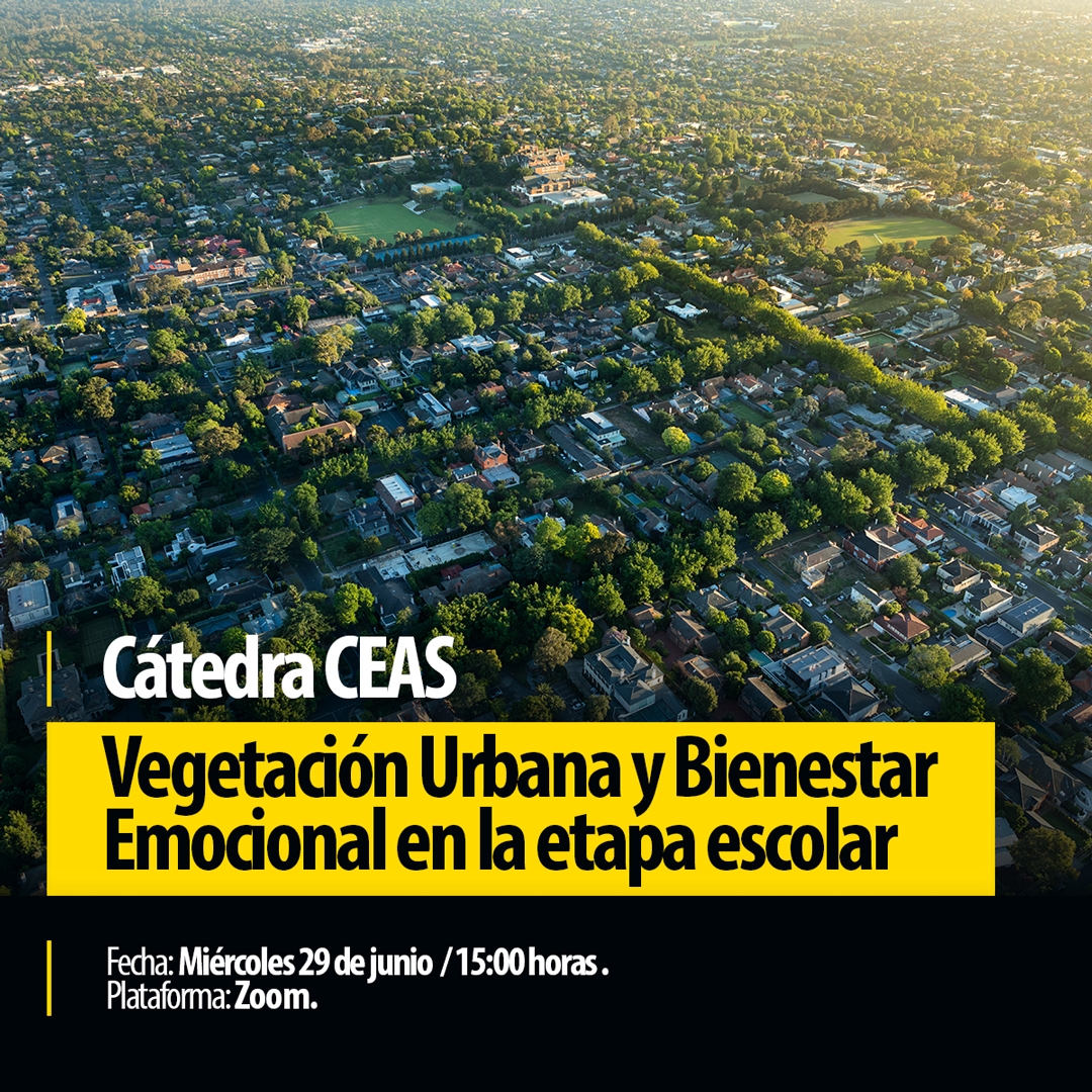 Catedra CEAS body