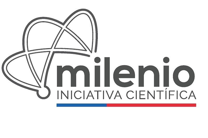 Logo nucleo milenio
