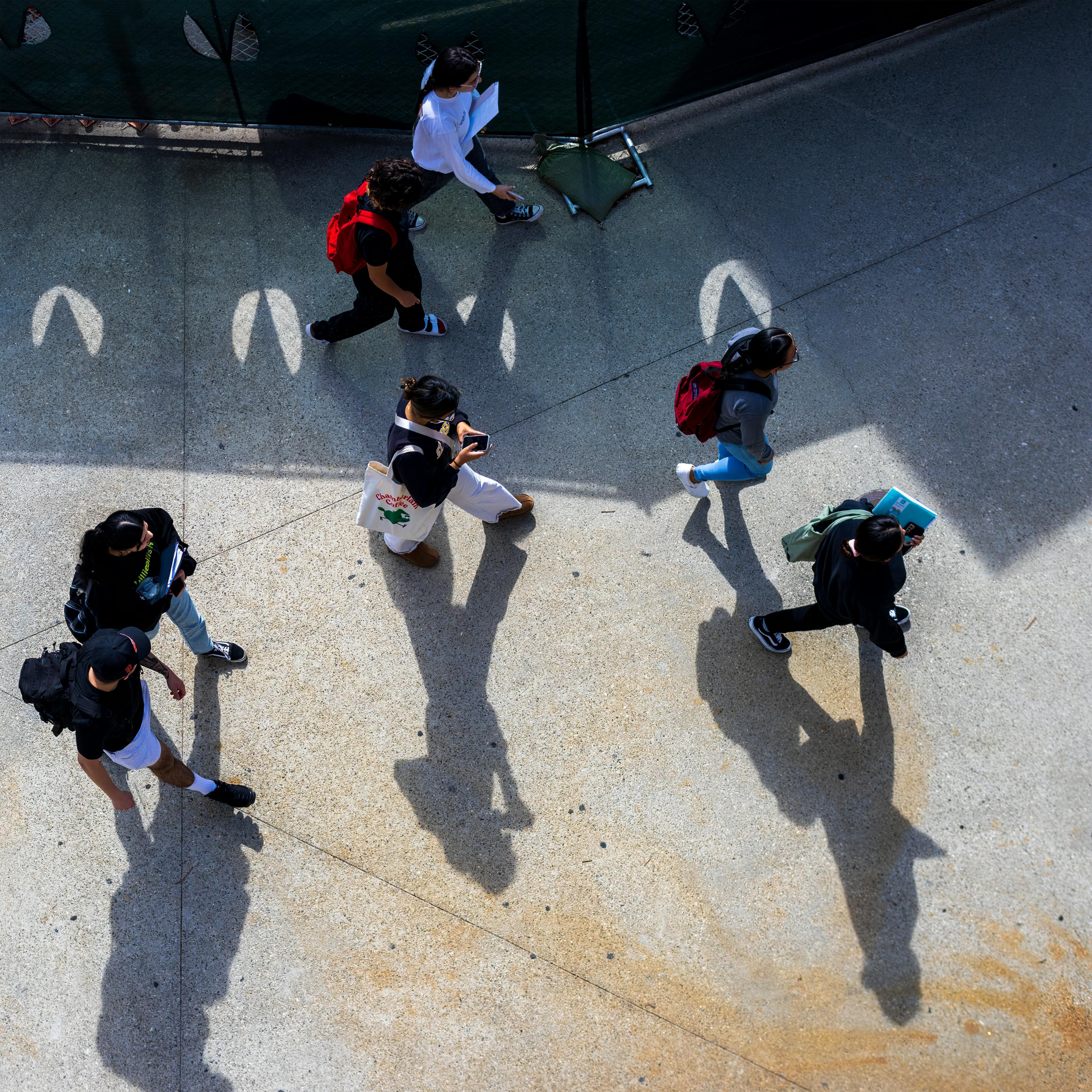 Pexels ninobur 16832014